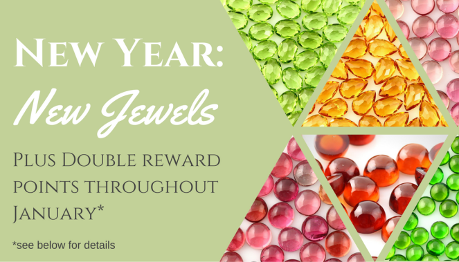 newsletter-header-january-2017-4